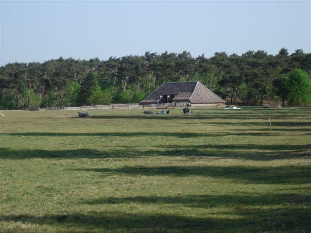 Boerderij 046.jpg